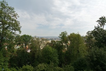 View to the city through tree branches. Brno, Czech Republic