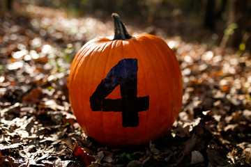 Pumpkin sitting in fallen leaves with the number 4