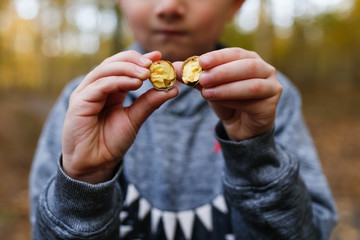 Child Holding Opened Acorn - Powered by Adobe