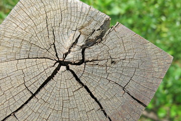 crack wood texture