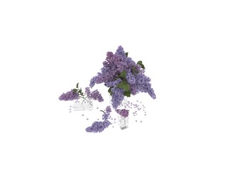 3d render of lilac flowers