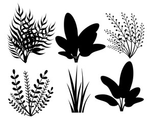 Black silhouette. Abstract autumn collection. Plant flower icon. Flat vector illustration isolated on white background