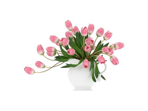 3d render pink tulips