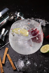 Glass of gin tonic cucumber,lime and ice