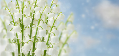 lilly of the valley flowers on blue sky bokeh background banner