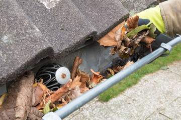 Man cleans the gutter 
