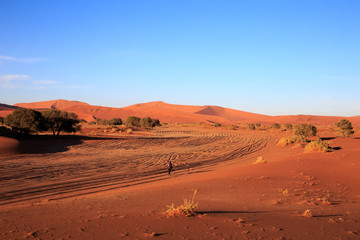 Fototapeta na wymiar Namibia - Sesriem - Sossusvlei