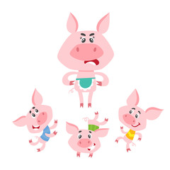 Cartoon pigs characters dancing and jumping isolated on white.