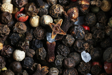 Seasoning - four kinds of pepper peas. pepper background. Close up, selective focus, copy space