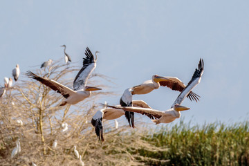 Lake Manyara