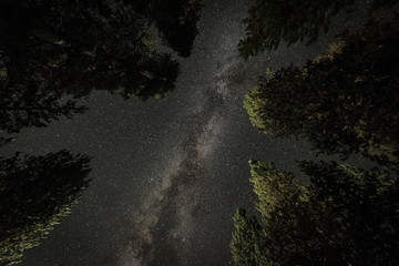 Sternehimmel und Milchstrasse in Yosemite Nationalpark