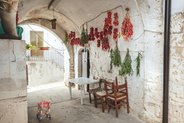 Fototapeta na wymiar Hanging cherry tomatoes