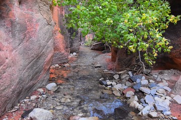 Kanarraville Falls, views from along the hiking trail of falls, stream, river, sandstone cliff formations Waterfall in Kanarra Creek Canyon by Zion National Park, Utah, USA.