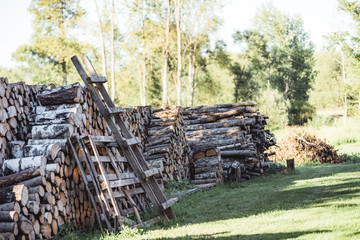 Fototapeta na wymiar A Pile of Logs in the Backyard on the Sunny Summer Evening - Vintage Film Look