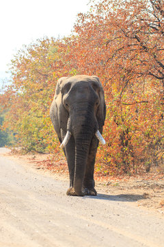 Sudafrica