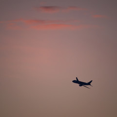朝焼けの空に飛ぶ