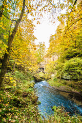 Picturesque view of Hrensko national Park, situated in Bohemian Switzerland, Czech Republic 