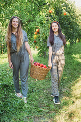 Girls with Apple in the Apple Orchard. Beautiful sisters with Organic Apple in the Orchard. Harvest Concept. Garden, teenagers eating fruits at fall harvest.