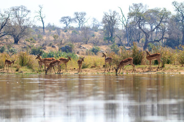 Sudafrica
