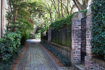 Fototapeta premium aleja w centrum Charleston w Południowej Karolinie