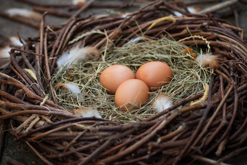 Three eggs in a nest
