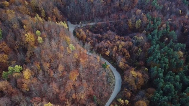  forest autumn blue sky clouds water road