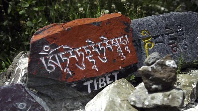 Buddhist stone plates with carved sacred characters on the footpath around residence of Dalai Lama in Macleod Ganj. Dharamsala, India