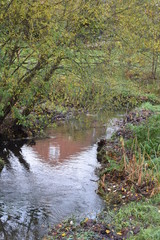 Stream reflecting house