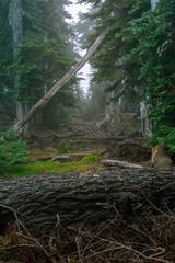 Foggy Mountains Hide Their Secrets