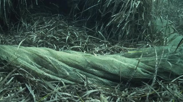 Geisternetz