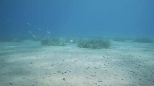 Unterwasserjadt