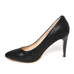 Obraz premium Women's toe and platform shoes isolated on white background