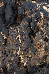 a large shot of a punched piece of frozen black lava with streaks of sandy color and deep hollows