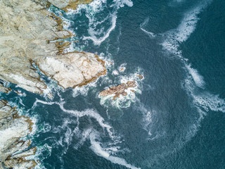 The beauty of wild life at Atacama Dessert, an Island populated by sea lions and an amazing sea bird life close to Chañaral in North Chile at the Pacific Ocean coastline