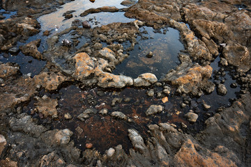 a puddle in a circle form in a lava reef with something resembling a view of the earth from an airplane