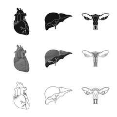 Isolated object of body and human logo. Collection of body and medical stock symbol for web.