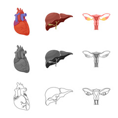 Obraz premium Isolated object of body and human sign. Set of body and medical stock vector illustration.