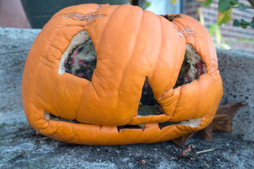 Collapsed jack-o'-lantern the remains of a once festive Halloween. St Paul Minnesota MN USA