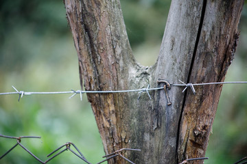 Natural hand made fence made of wooden tree brenches. Close up view of village fence with moss on wooden surface.