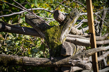Natural hand made fence made of wooden tree brenches. Close up view of village fence with moss on wooden surface.