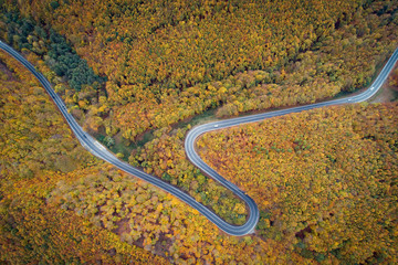 Aerial view of winding road  thorugh Pezinska baba forest in autumn colors, Slovakia