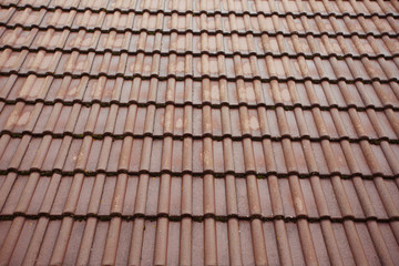 Roof texture