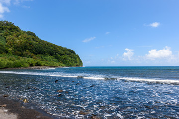 Maui-RoadtoHana-HonomanūBay1