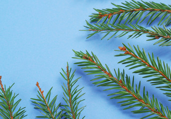 Christmas composition. Creative layout made with fir or spruce green branches on blue background. Christmas tree branch. Flat lay, top view, copy space. Pastel colors, trendy minimal concept.