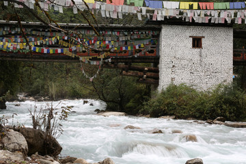 Bhutan Festivals