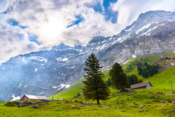 Fototapeta na wymiar Alps mountains and fields, Schoenengrund, Hinterland, Appenzell