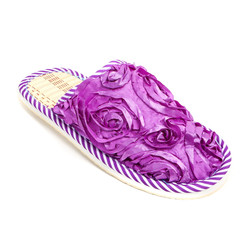 Women's cool slippers for home isolated on white background.