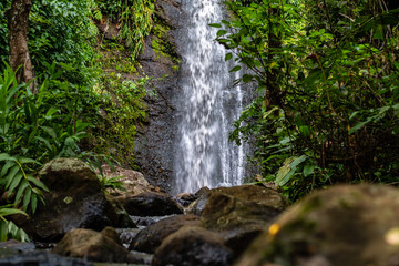 Naklejka na ściany i meble water fall in Guatemalan woods