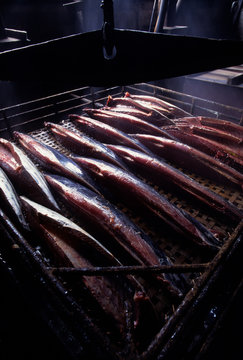鰹節作り、煮る前のかつおの生身