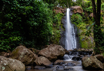 water fall in Guatemalan woods
